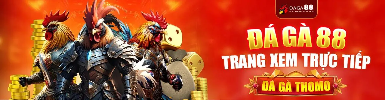 Chính sách Cookie mu66 casino - Bảo vệ dữ liệu người dùng