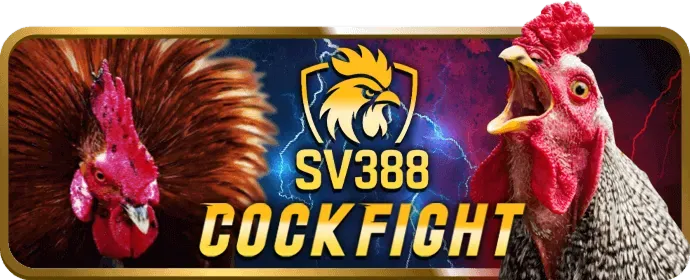 Đường dây nóng mu66 casino